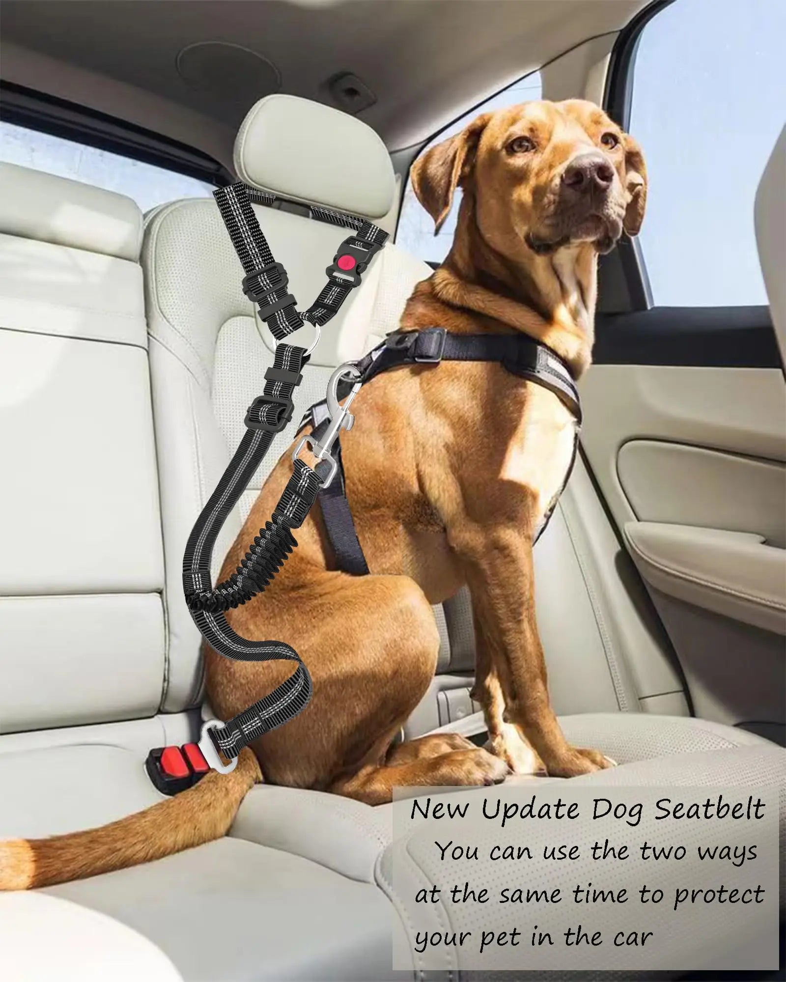 Cinto de segurança de carro para cães ajustável e resistente