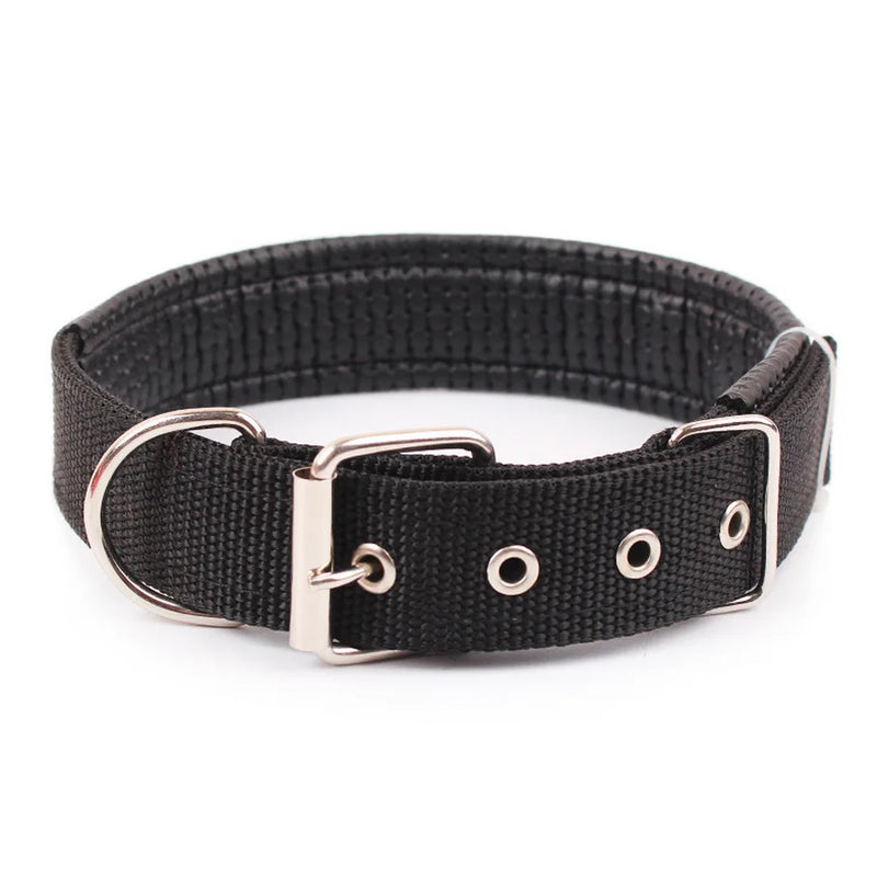 Coleira Ajustável ComfortPet – Resistente, Segura e Confortável