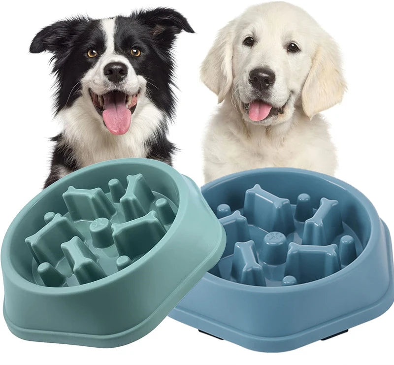 Comedouro Para Cachorro e Gato Comedouro Lento