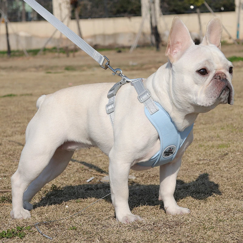 Coleira Confortável Ajustável Para Cachorro
