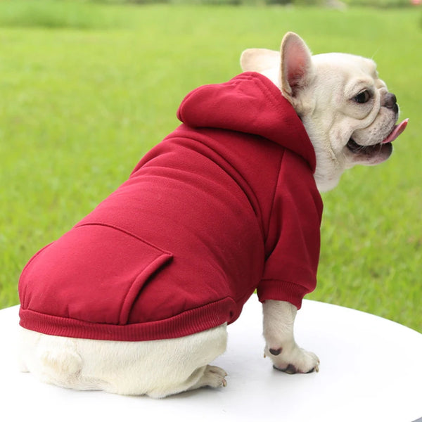 Moletom com Capuz para Cães Pequenos – Roupa Pet de Inverno em Poliéster, Quentinha e Estilosa
