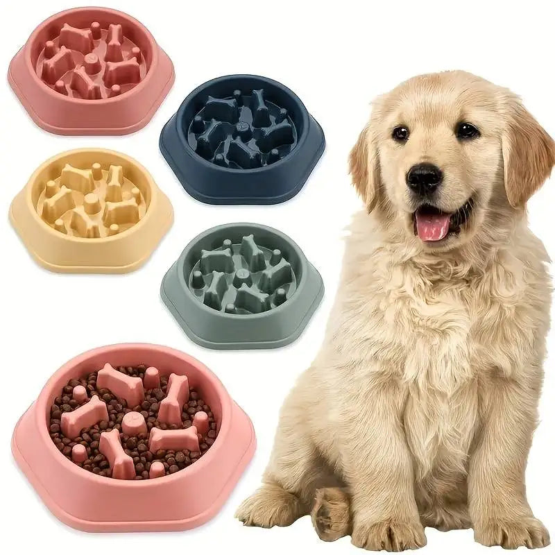 Comedouro Para Cachorro e Gato Comedouro Lento