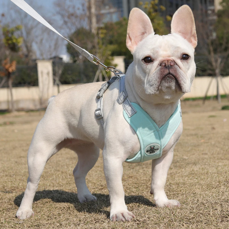 Coleira Confortável Ajustável Para Cachorro