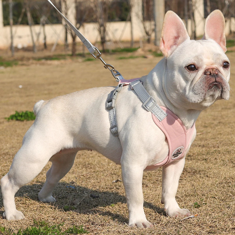 Coleira Confortável Ajustável Para Cachorro