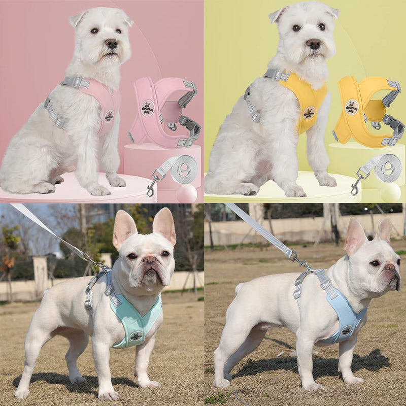 Coleira Confortável Ajustável Para Cachorro