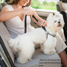 Cinto de segurança de carro para cães ajustável e resistente