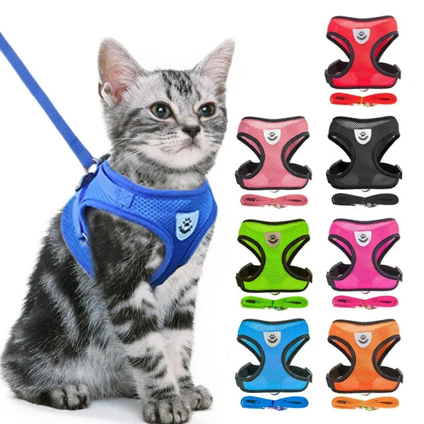 Conjunto Arnês + Guia ReflectPet – Confortável, Ajustável e Refletivo para Cães e Gatos