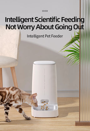 ROJECO Automatic Cat Feeder Pet Smart WiFi Cat Food Kibble Dispenser Remote Control Auto Feeder For Cat Dog Dry Food Accessories