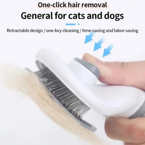 pet brush