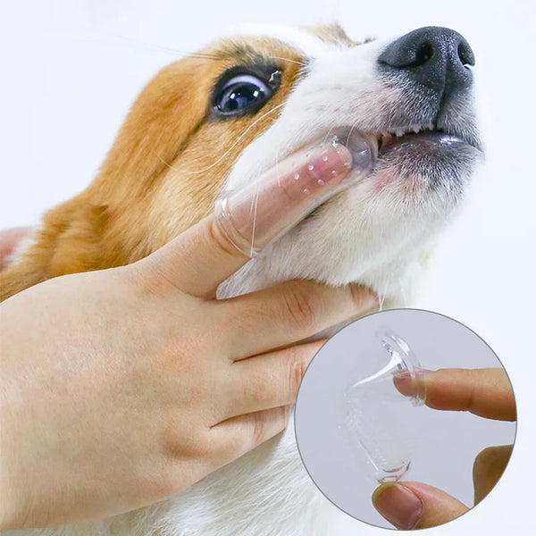 Escova Dental de Dedo PetSil – Silicone Macio para Cães e Gatos