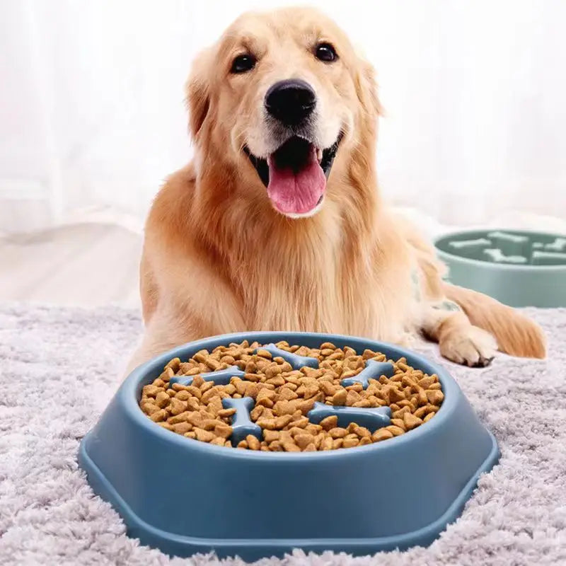 Comedouro Para Cachorro e Gato Comedouro Lento
