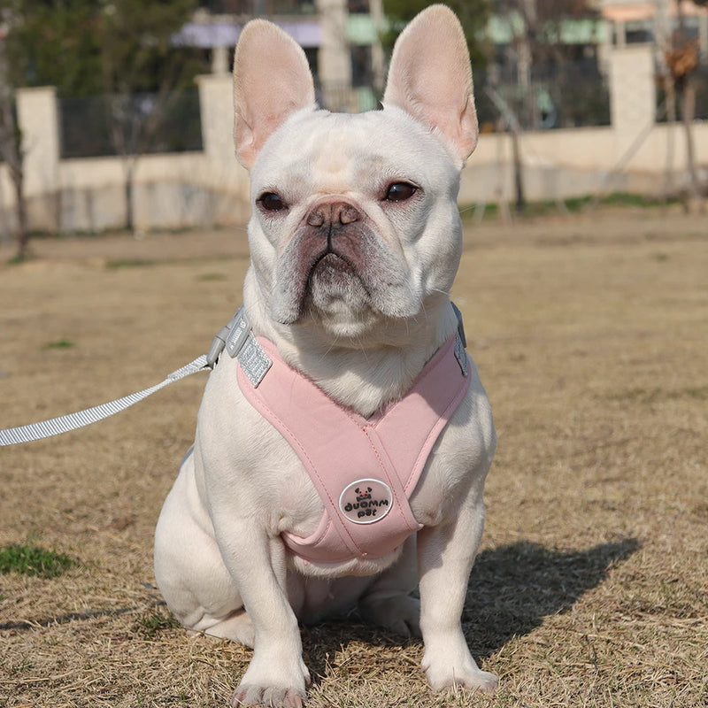 Coleira Confortável Ajustável Para Cachorro