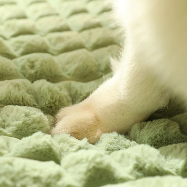 Cama Colchonete Confortável Para Cachorro e Gato