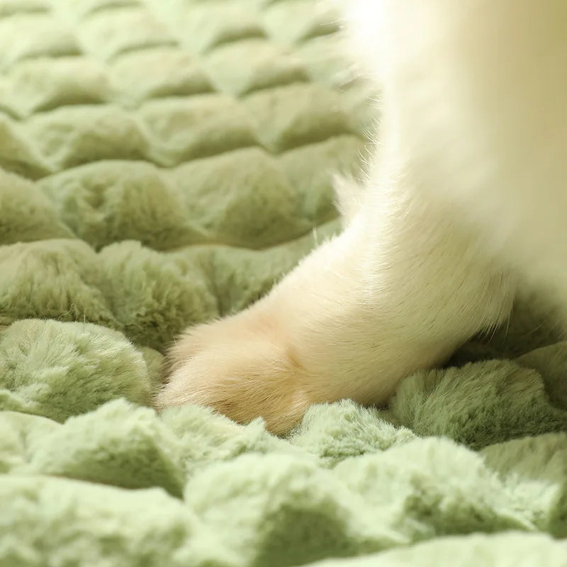 Cama Colchonete Confortável Para Cachorro e Gato
